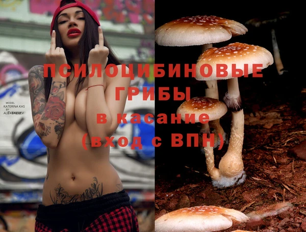 круглые Корсаков