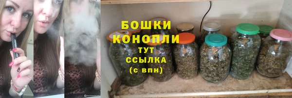 крисы Козловка