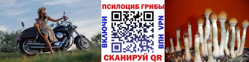 Галлюциногенные грибы прущие грибы  Купить закладки  Кириллов 